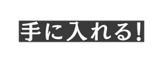 手に入れる